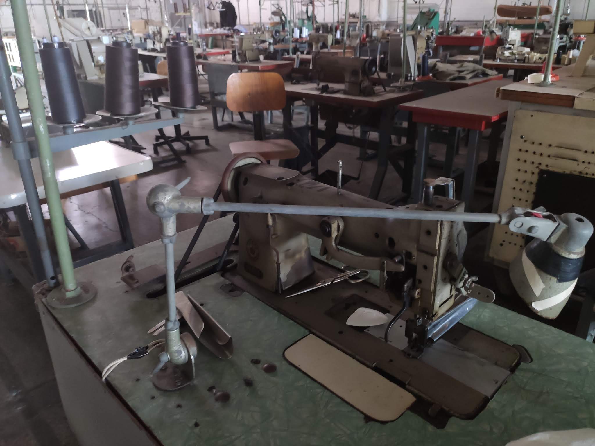 OVERLOCK | Gustavo Turani Leilões